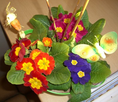 CIMG2273 - Kopie.JPG