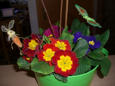 CIMG2272 - Kopie.JPG