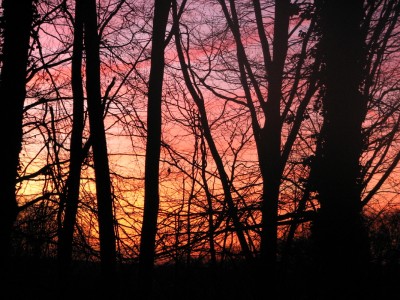IMG_0486_1_1.JPG