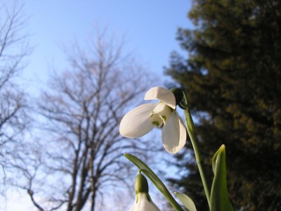 P1010269.jpg