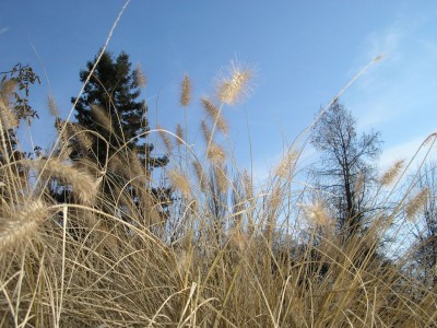 P1010208.jpg