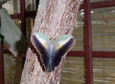 PICT0213.JPG