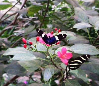 PICT0105.JPG