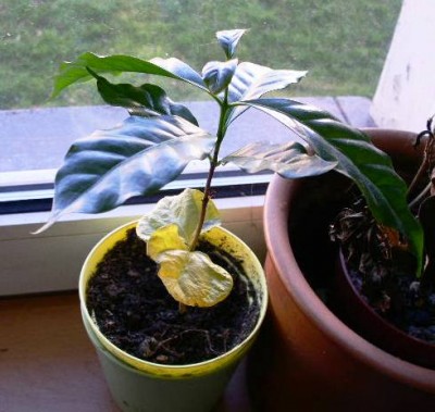 PICT0089.JPG