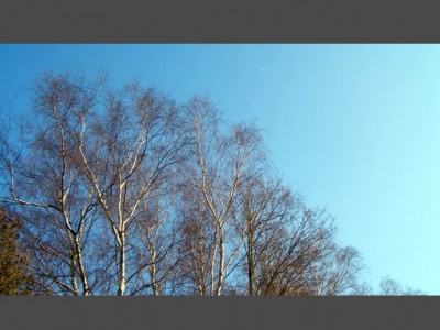 comp_himmel_neu.jpg