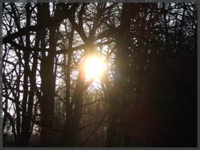 comp_sonne1.jpg