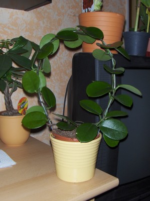 Bild 140.jpg