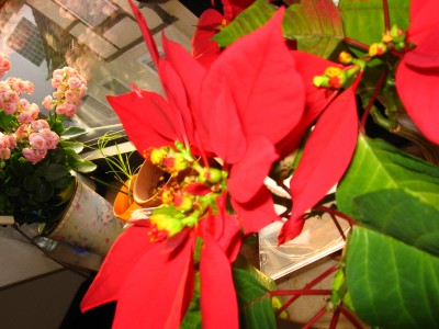 IMG_2014.JPG