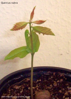 2008_02_13 (3)a.jpg