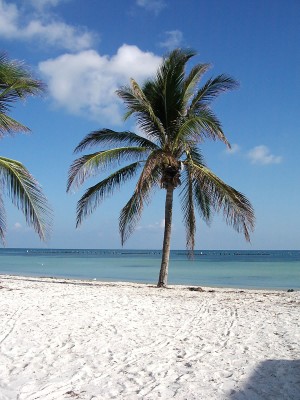 Florida 382.jpg
