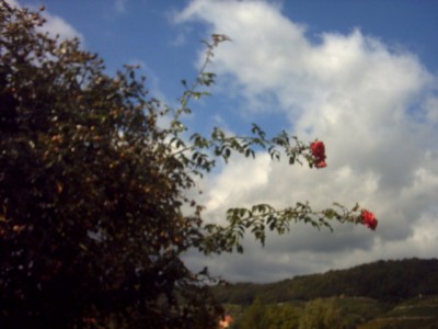 PICT1413.JPG
