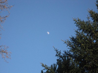 Img_1005.jpg