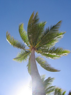 IMG_0389.jpg