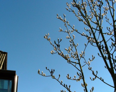 Februarhimmel.jpg