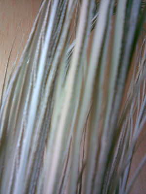 Bild019.jpg