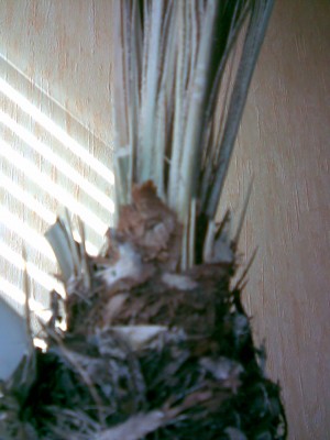 Bild018.jpg