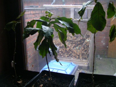 Bilder des Jammers 008.JPG