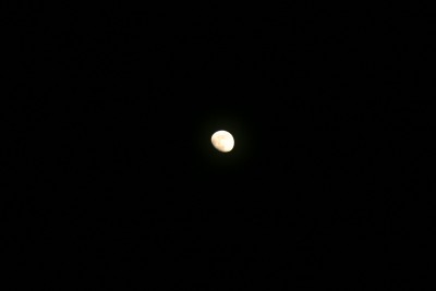 img_0359.jpg.jpg