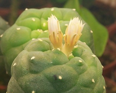 14 Monate 007.jpg 1.JPG