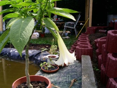 PICT0084.JPG