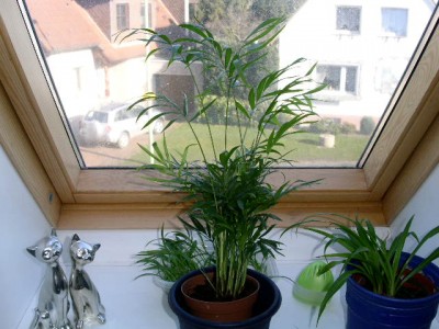 PICT0164.JPG