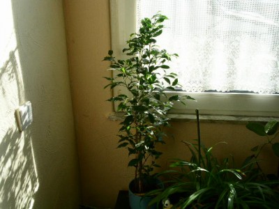PICT0163.JPG