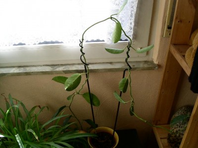 PICT0162.JPG
