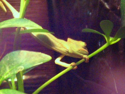 Bild 0062.jpg