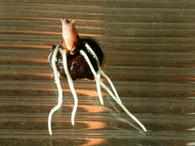 PICT0207.JPG