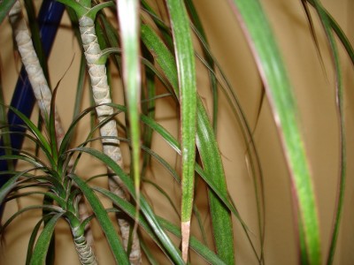 DSC01652_Bildgröße ändern.JPG