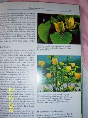 100_0127.jpg