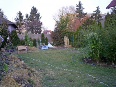 S4026392_edited.JPG