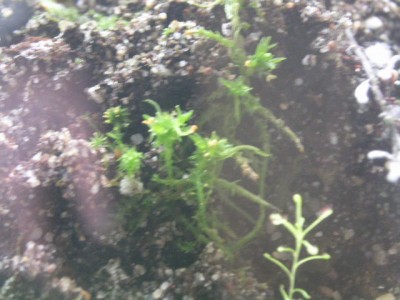 PICT0289.JPG