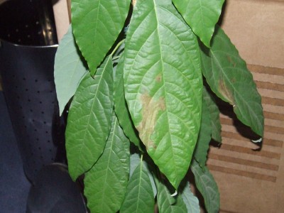 DSCF3167.JPG
