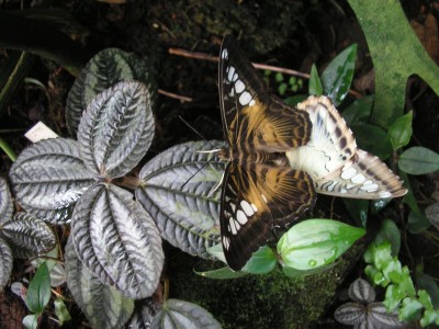 P1010175.jpg