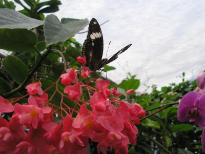 P1010100.jpg