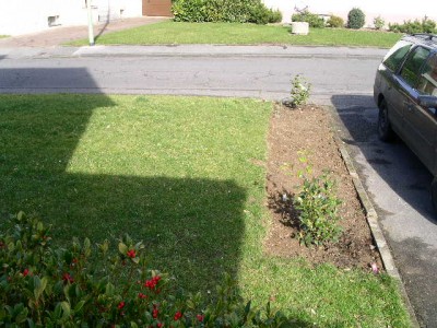 PICT0305.JPG
