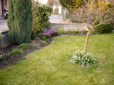 Vorgarten 006.jpg