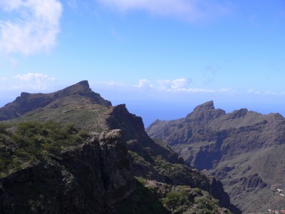 P1020204.jpg
