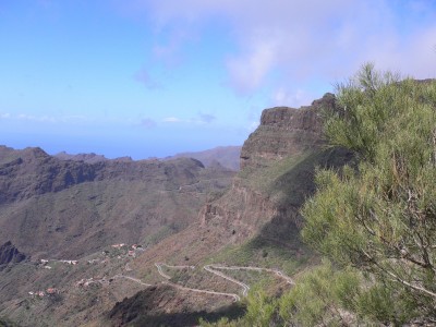 P1020203.jpg