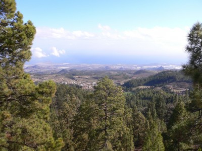 P1020238.jpg
