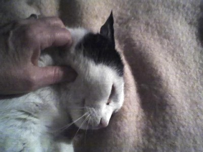 24-02-08_Frieda mag kuscheln.jpg