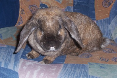 Kopie von 100_2300.JPG