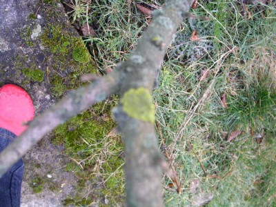 PICT0354.JPG