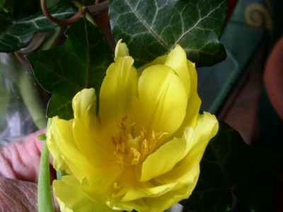 PICT0369.JPG
