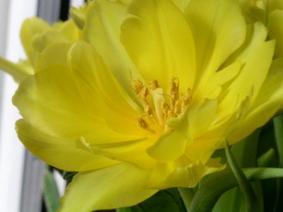 PICT0368.JPG