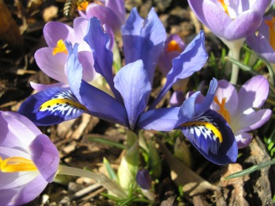 P1010205.jpg