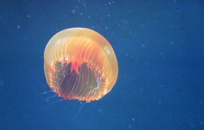 PICT0483.JPG