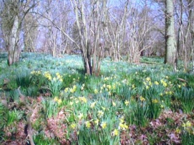 PICT0454.JPG