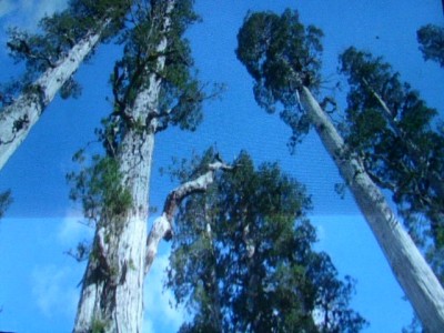PICT0444.JPG